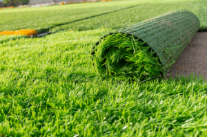 TERMITURF artificial grass Adelaide